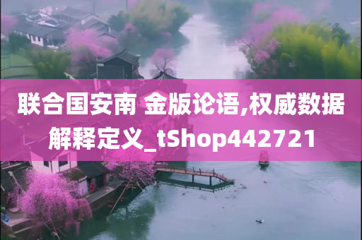 联合国安南 金版论语,权威数据解释定义_tShop442721