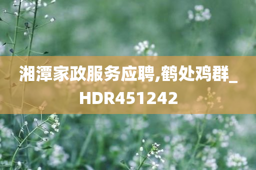 湘潭家政服务应聘,鹤处鸡群_HDR451242