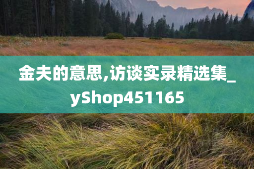 金夫的意思,访谈实录精选集_yShop451165