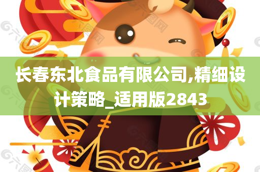 长春东北食品有限公司,精细设计策略_适用版2843