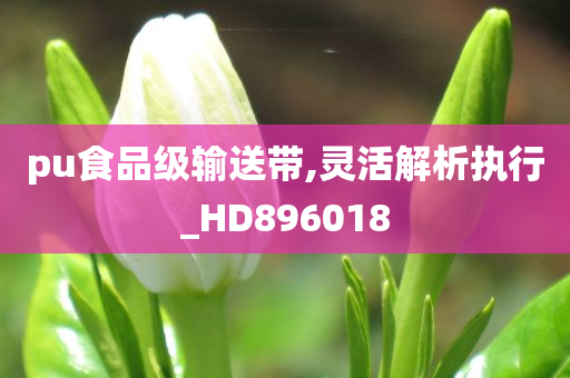 pu食品级输送带,灵活解析执行_HD896018