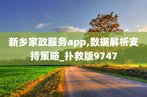 新乡家政服务app,数据解析支持策略_扑救版9747