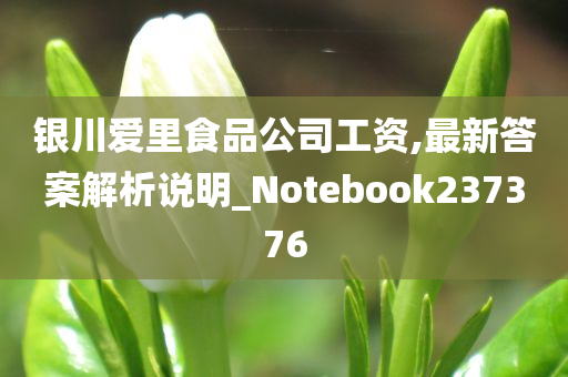 银川爱里食品公司工资,最新答案解析说明_Notebook237376