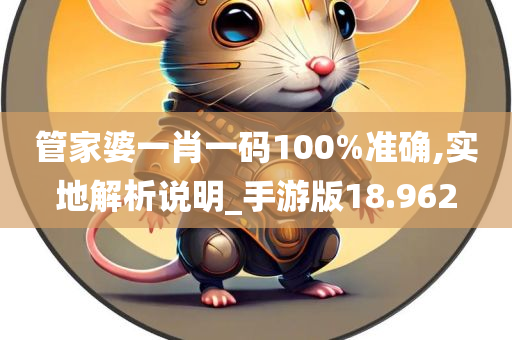 管家婆一肖一码100%准确,实地解析说明_手游版18.962