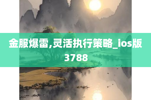 金服爆雷,灵活执行策略_ios版3788