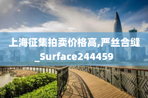 上海征集拍卖价格高,严丝合缝_Surface244459