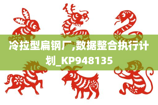 冷拉型扁钢厂,数据整合执行计划_KP948135