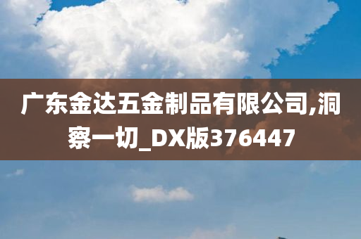 广东金达五金制品有限公司,洞察一切_DX版376447