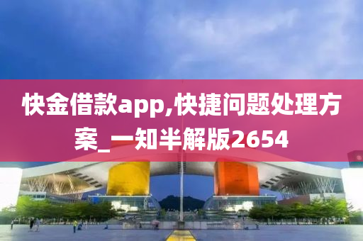 快金借款app,快捷问题处理方案_一知半解版2654