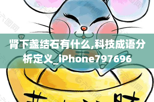 肾下盏结石有什么,科技成语分析定义_iPhone797696