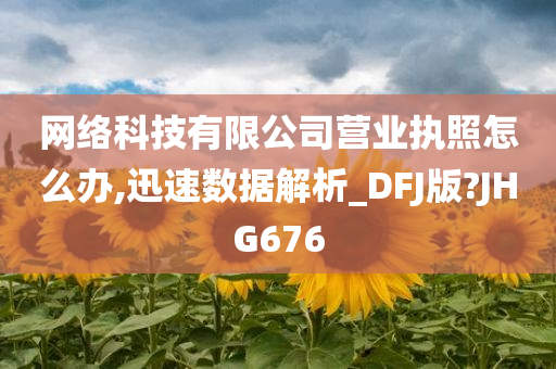 网络科技有限公司营业执照怎么办,迅速数据解析_DFJ版?JHG676