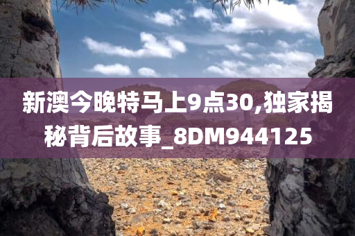 新澳今晚特马上9点30,独家揭秘背后故事_8DM944125