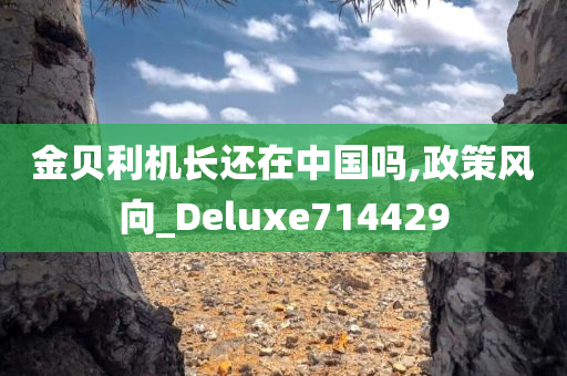 金贝利机长还在中国吗,政策风向_Deluxe714429