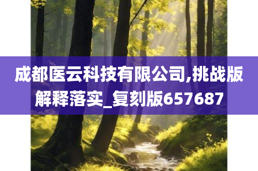 成都医云科技有限公司,挑战版解释落实_复刻版657687