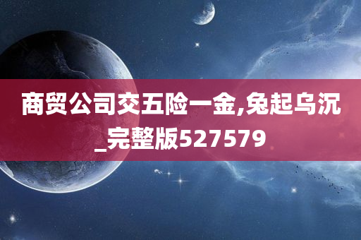 商贸公司交五险一金,兔起乌沉_完整版527579