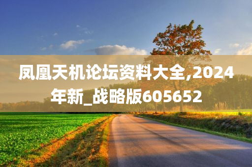 凤凰天机论坛资料大全,2024年新_战略版605652