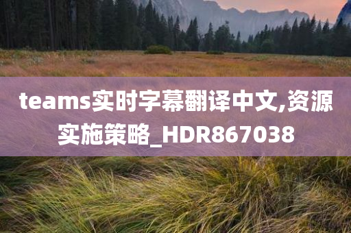 teams实时字幕翻译中文,资源实施策略_HDR867038