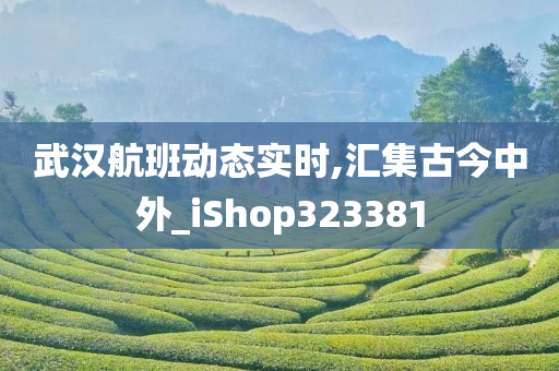 武汉航班动态实时,汇集古今中外_iShop323381