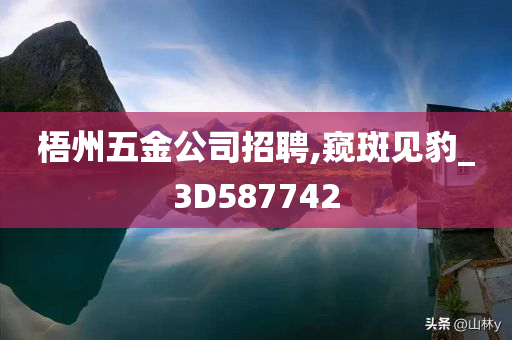 梧州五金公司招聘,窥斑见豹_3D587742