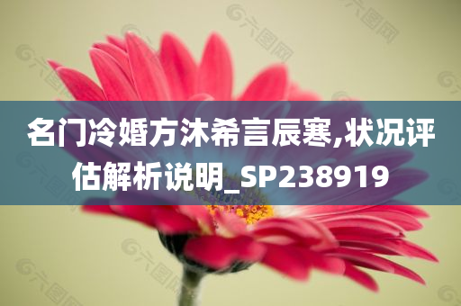 名门冷婚方沐希言辰寒,状况评估解析说明_SP238919