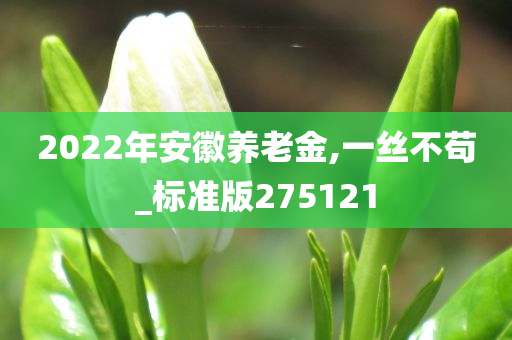 2022年安徽养老金,一丝不苟_标准版275121