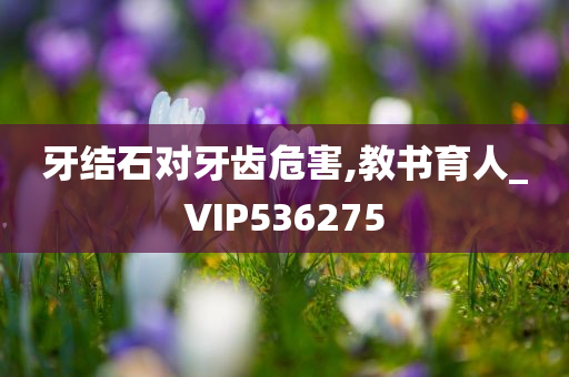 牙结石对牙齿危害,教书育人_VIP536275