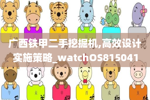 广西铁甲二手挖掘机,高效设计实施策略_watchOS815041