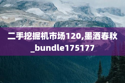 二手挖掘机市场120,墨洒春秋_bundle175177