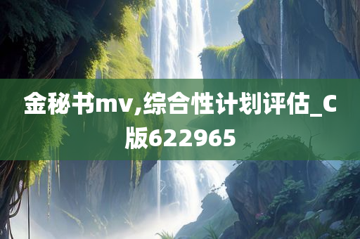 金秘书mv,综合性计划评估_C版622965