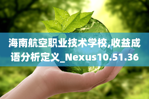 海南航空职业技术学校,收益成语分析定义_Nexus10.51.36