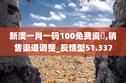 新澳一肖一码100免费资枓,销售渠道调整_反馈型51.337