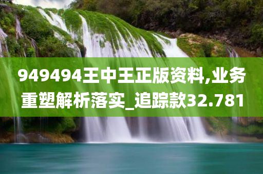 949494王中王正版资料,业务重塑解析落实_追踪款32.781