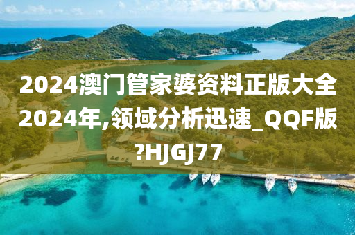 2024澳门管家婆资料正版大全2024年,领域分析迅速_QQF版?HJGJ77