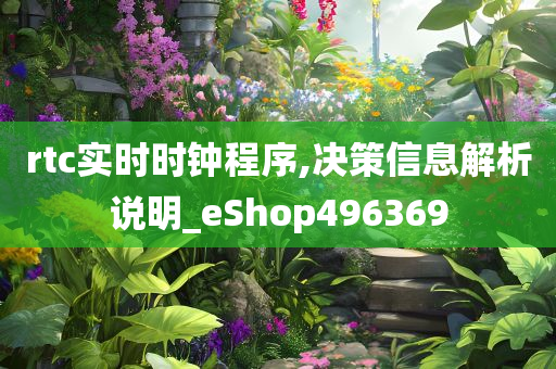 rtc实时时钟程序,决策信息解析说明_eShop496369