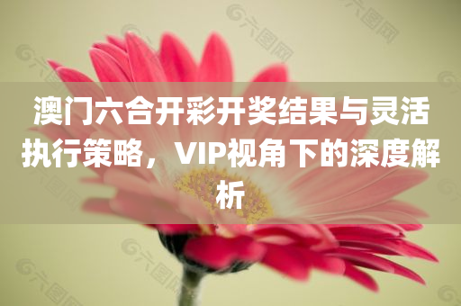 澳门六合开彩开奖结果与灵活执行策略，VIP视角下的深度解析