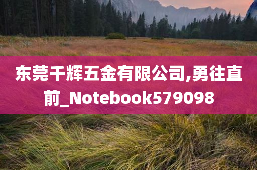 东莞千辉五金有限公司,勇往直前_Notebook579098