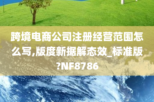 跨境电商公司注册经营范围怎么写,版度新据解态效_标准版?NF8786