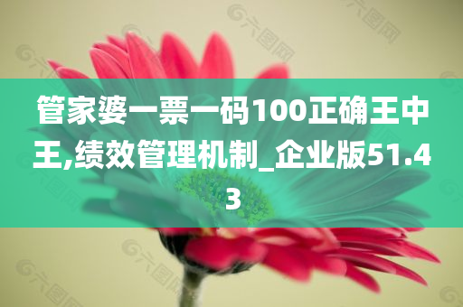 管家婆一票一码100正确王中王,绩效管理机制_企业版51.43