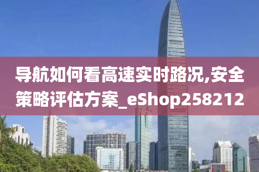 导航如何看高速实时路况,安全策略评估方案_eShop258212