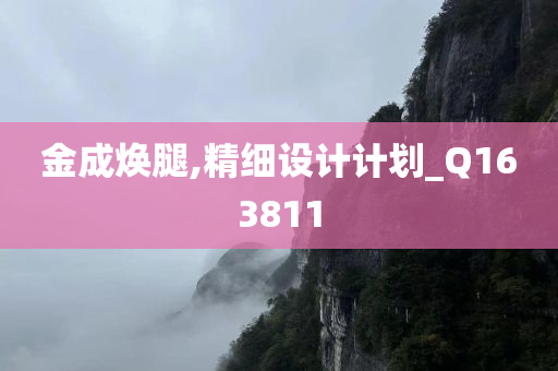 金成焕腿,精细设计计划_Q163811