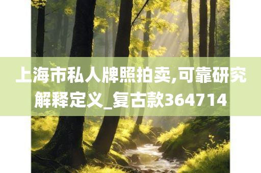 上海市私人牌照拍卖,可靠研究解释定义_复古款364714