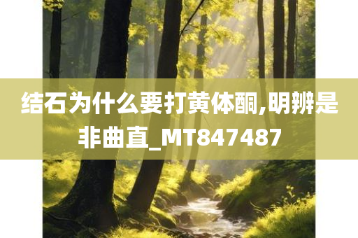 结石为什么要打黄体酮,明辨是非曲直_MT847487