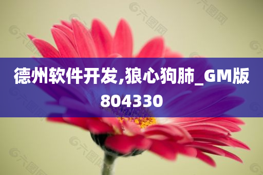 德州软件开发,狼心狗肺_GM版804330