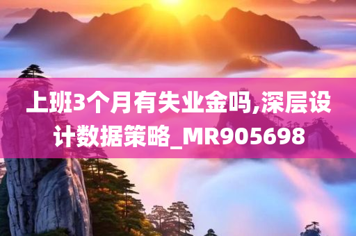 上班3个月有失业金吗,深层设计数据策略_MR905698