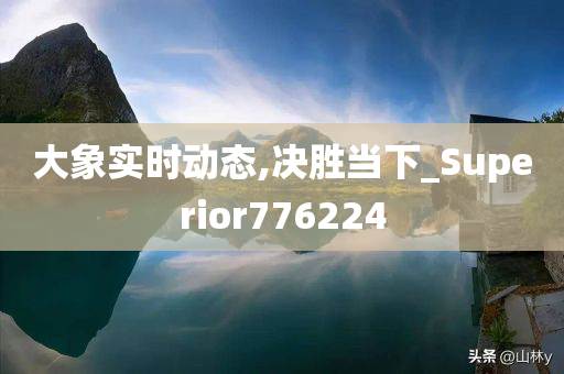 大象实时动态,决胜当下_Superior776224