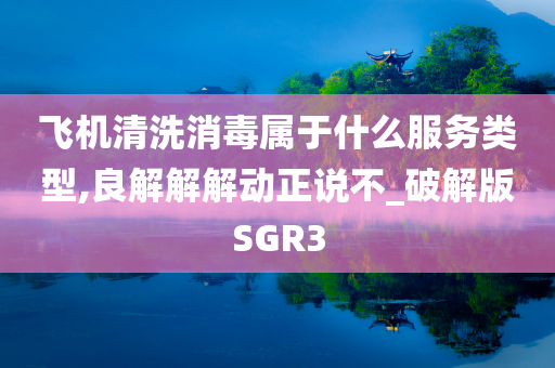 飞机清洗消毒属于什么服务类型,良解解解动正说不_破解版SGR3