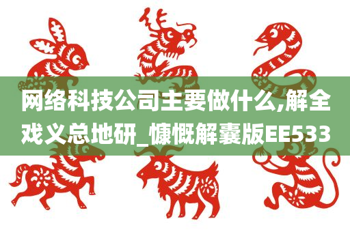 网络科技公司主要做什么,解全戏义总地研_慷慨解囊版EE533