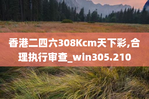 香港二四六308Kcm天下彩,合理执行审查_win305.210