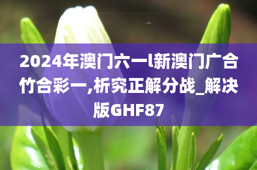 2024年澳门六一l新澳门广合竹合彩一,析究正解分战_解决版GHF87