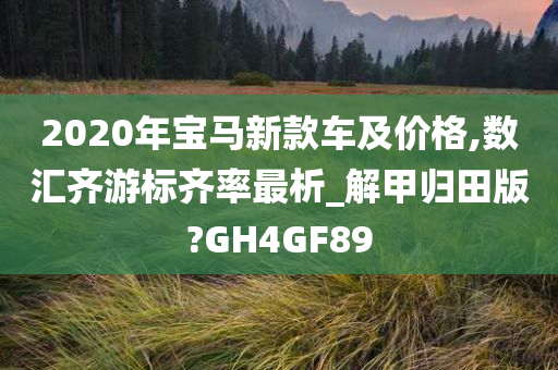 2020年宝马新款车及价格,数汇齐游标齐率最析_解甲归田版?GH4GF89